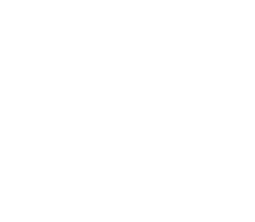 Southern Cross Laser logo